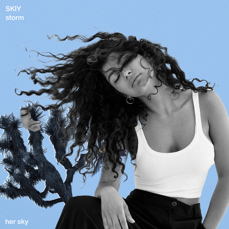 Storm cover art
