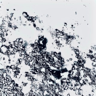 cold cover art