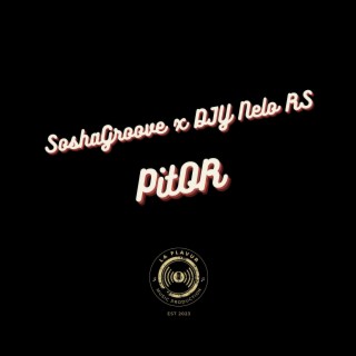 Pitor (Instrumental Version) ft. DJY Nelo RS cover art