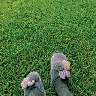 touch grass cover art