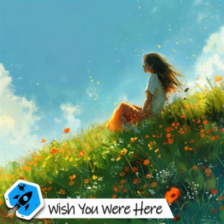 Wish You Were Here