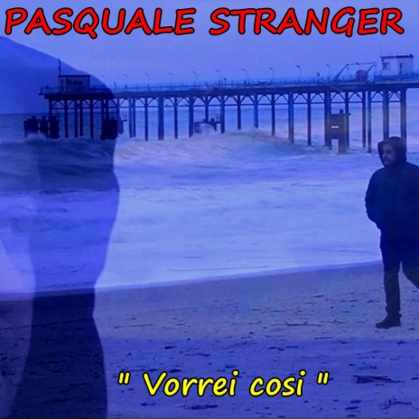 Vorrei cosi cover art