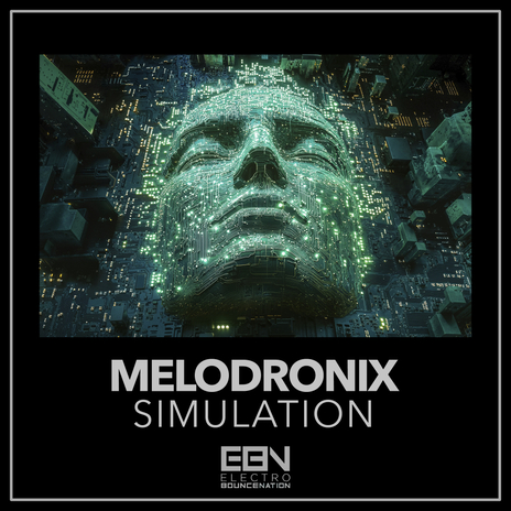 Simulation
