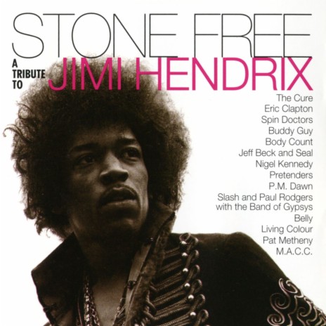 Purple Haze cover art