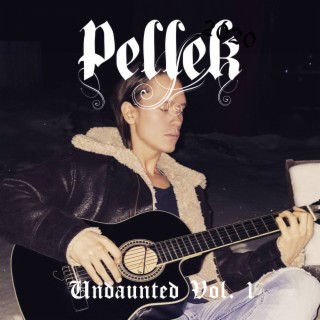 Undaunted, Vol. I