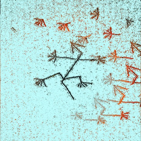 Gecko cover art