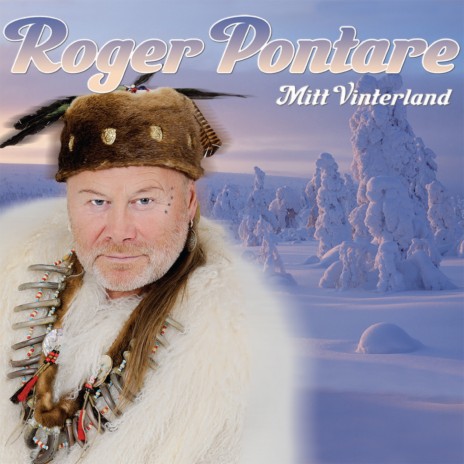 Det susar genom livets strid cover art