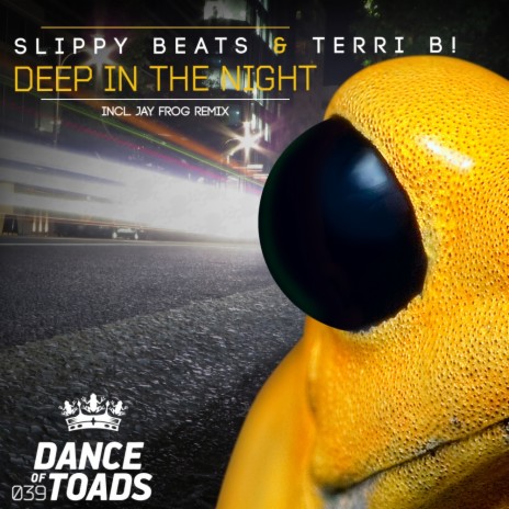 Deep In The Night (A Cappella) ft. Terri B! cover art
