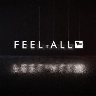 Feel It All cover art
