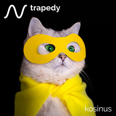 Toony Trapedy cover art