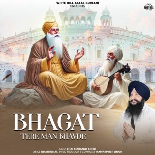 Bhagat Tere Man Bhavde cover art