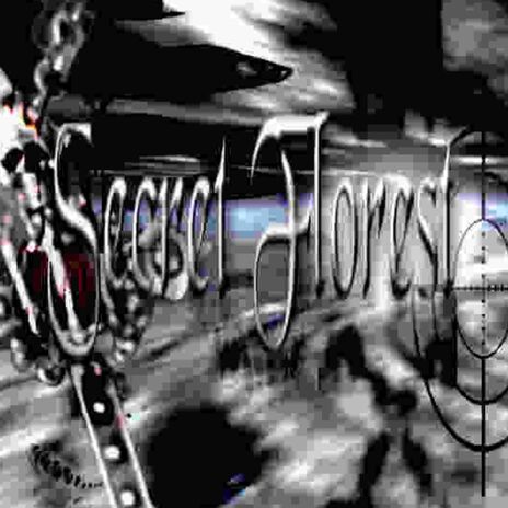 NIGHT SKY cover art