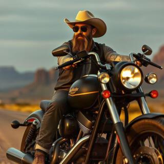 Southern Country Rock, Vol. 7