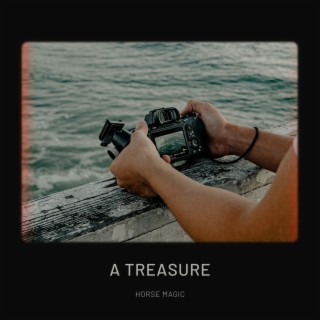 A Treasure