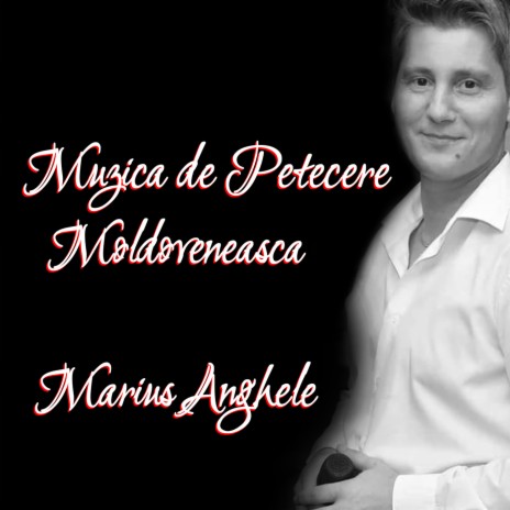 Petrecerea Soferilorilor In Cursa cover art