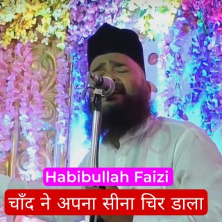 Chand Ne Apna Sina Chir Dala cover art