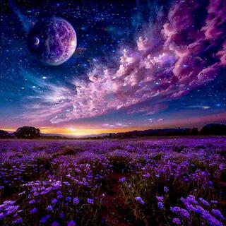 Cosmos X