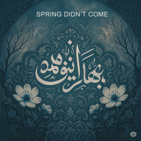 Spring Didn't Come cover art