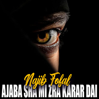 Najib Fofal