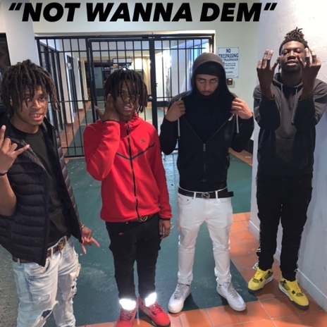 Not wanna dem cover art