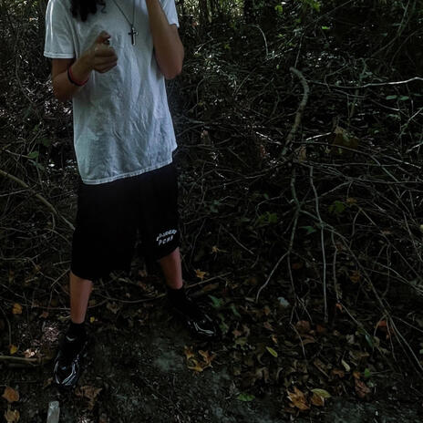 no adlibs cover art