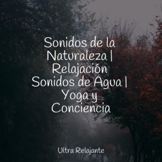 Sonidos de la Naturaleza | Relajación Sonidos de Agua | Yoga y Conciencia