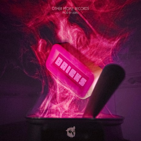 Bricks ft. Sanxo, Sunkkka, FXRL087 & OGYBORY cover art