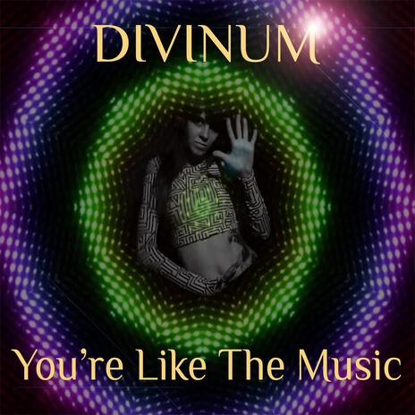 YOU'RE LiKE THE MUSiC cover art
