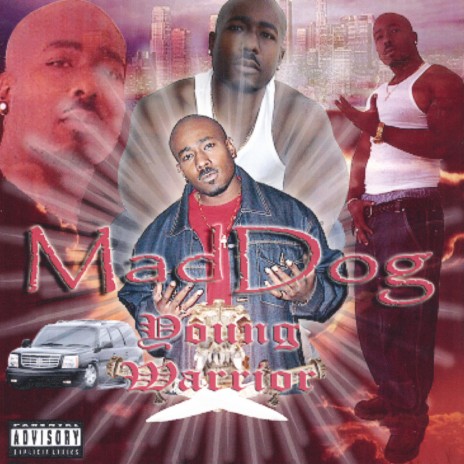 Young Warrior cover art