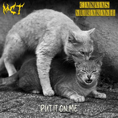 Put It On Me ft. Canvas Murakami cover art