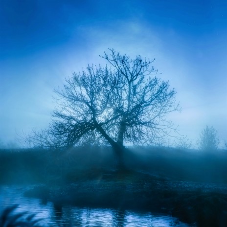 III Serene cover art
