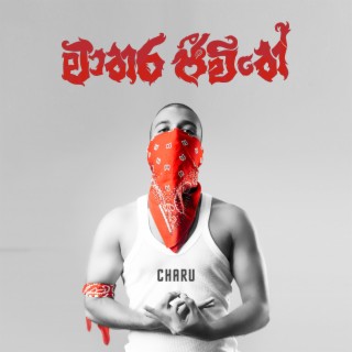 Charu