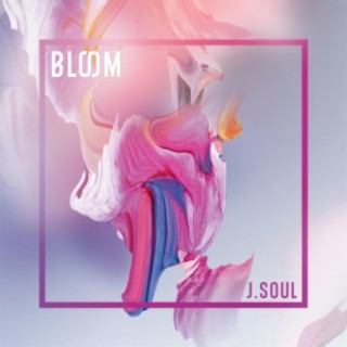 J.Soul