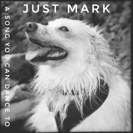 A Song You Can Dance To cover art