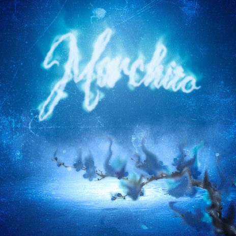 GERBERAS ft. Starry cover art