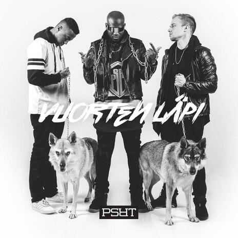 Pokataan Saalis ft. Mikaveli cover art