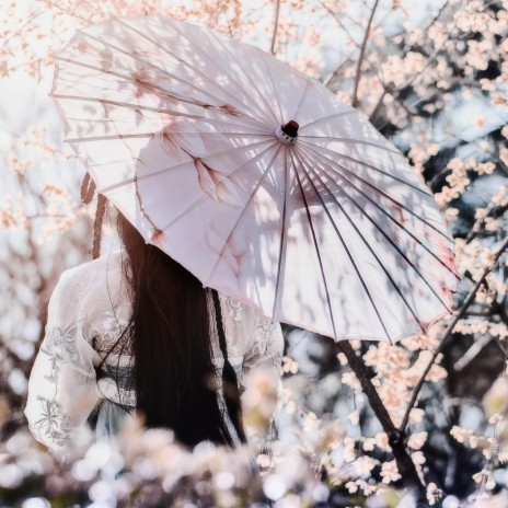 樱花道 cover art