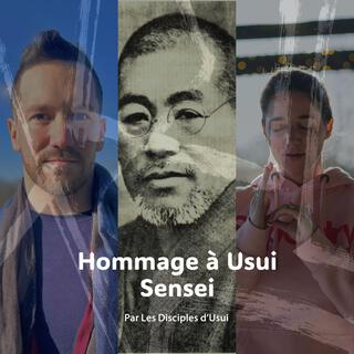 Les Disciples d'Usui