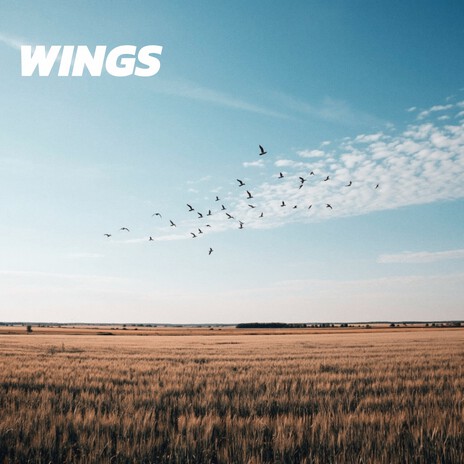 Wings
