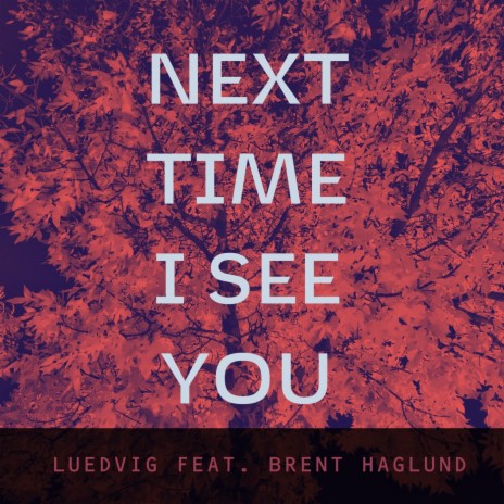 Next Time I See You (feat. Brent Haglund) cover art