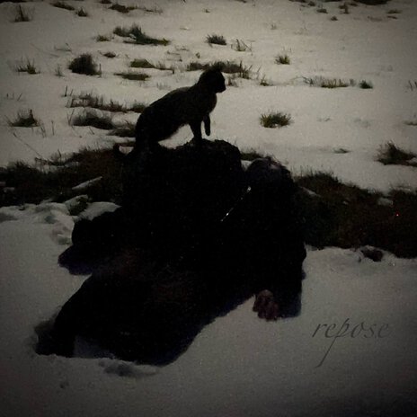 Repose cover art
