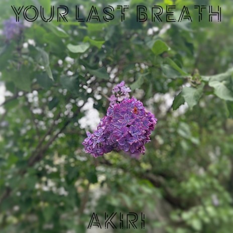 I Stare Into Your Eyes... cover art