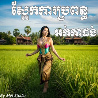 ស្អែកការប្រពន្ធ cover art