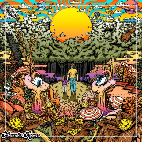 Momentos Fugaces cover art