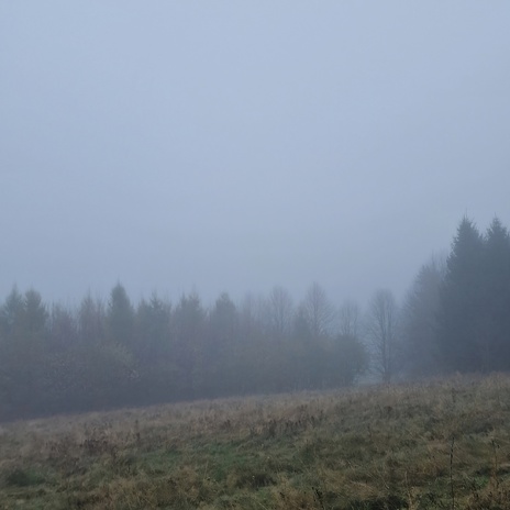hoffnung/schmerz cover art
