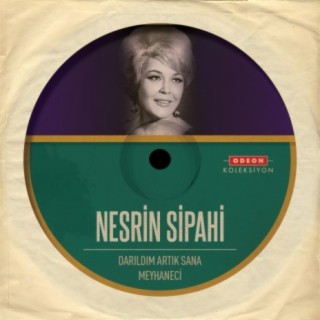 Darıldım Artık Sana - Meyhaneci cover art