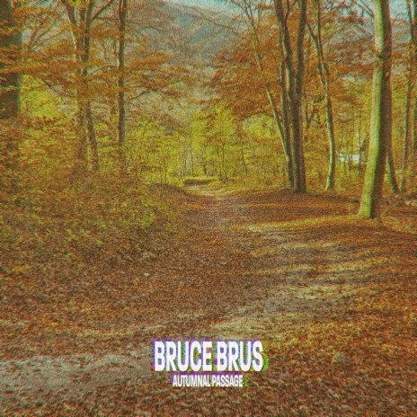Autumnal Passage (Delta Drone) cover art