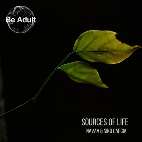 Sources of Life (DJ Lemy Remix) ft. Niko Garcia cover art