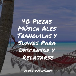 40 Piezas Música Ales Tranquilas y Suaves Para Descansar y Relajarse