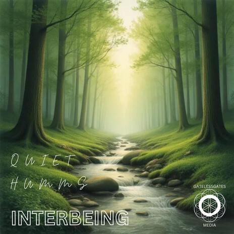 QUIET HUMMS cover art